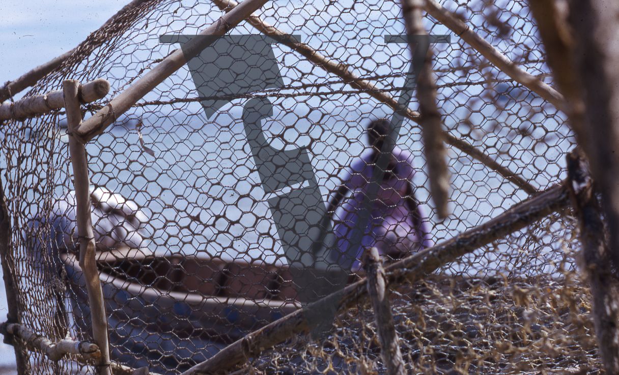 Jamaica, Abstract shot through lobster pot of woman on beach.